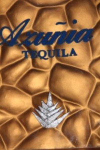 Azunia Tequila branded resin panel #2