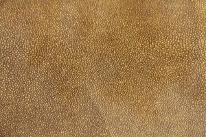 Shagreen in metallic bronze