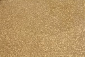 Shagreen in metallic gold