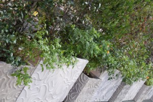 Dune planters at restaurant (installed)