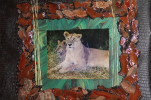 Lioness print framed in tree bark