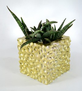 Seashell convex in metallic gold planter